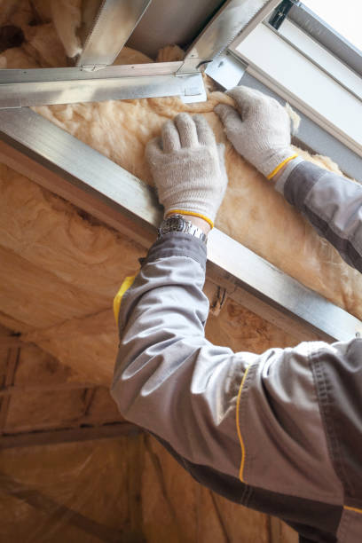 Best Garage Insulation Installation  in Buena Vista, MI