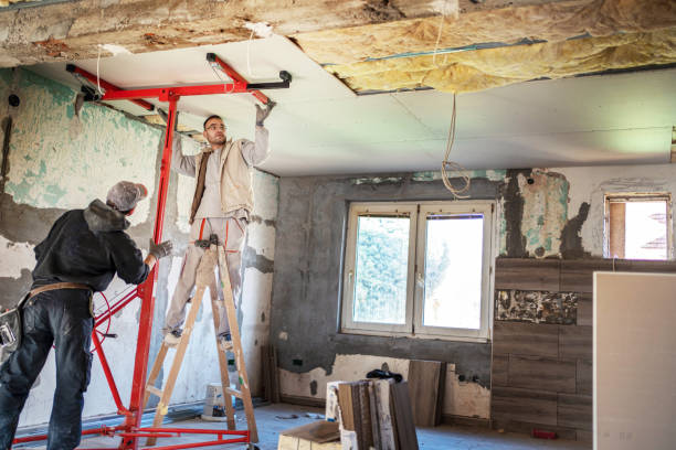 Best Insulation Replacement Services  in Buena Vista, MI
